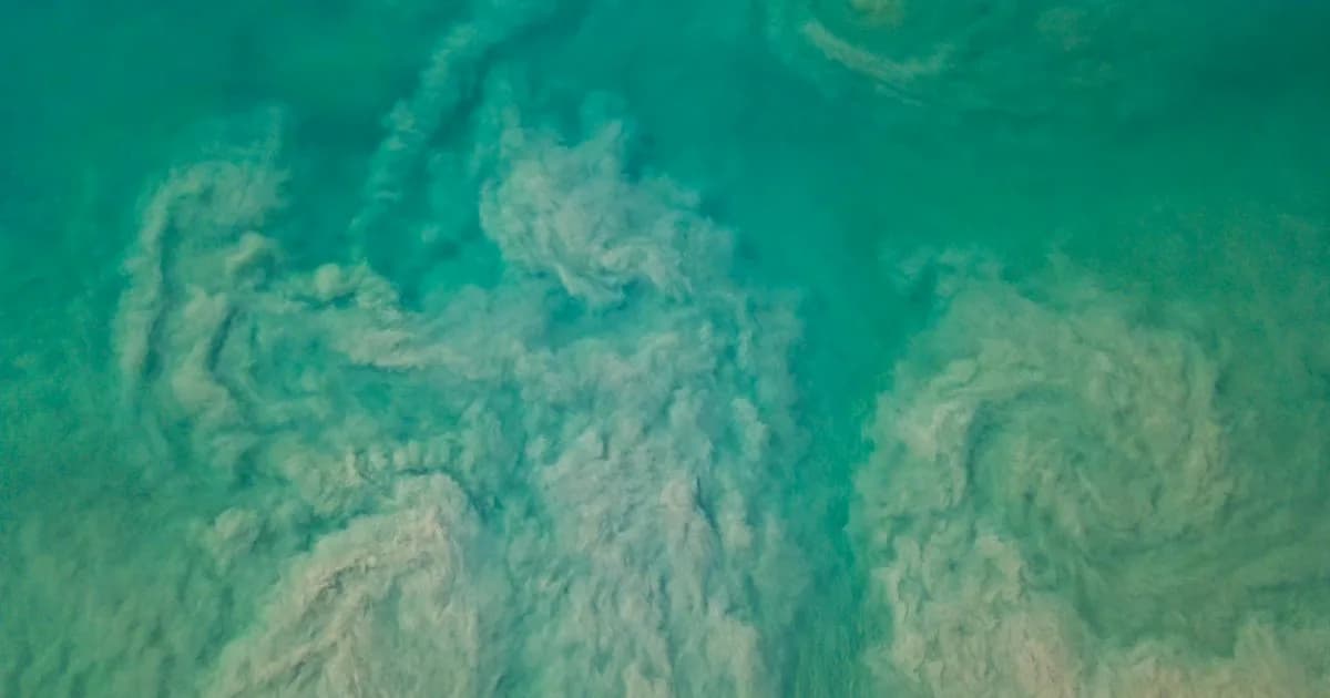 Akıntılar, Gelgit ve Oşinografi: Türkiye Sularında Tam Rehber