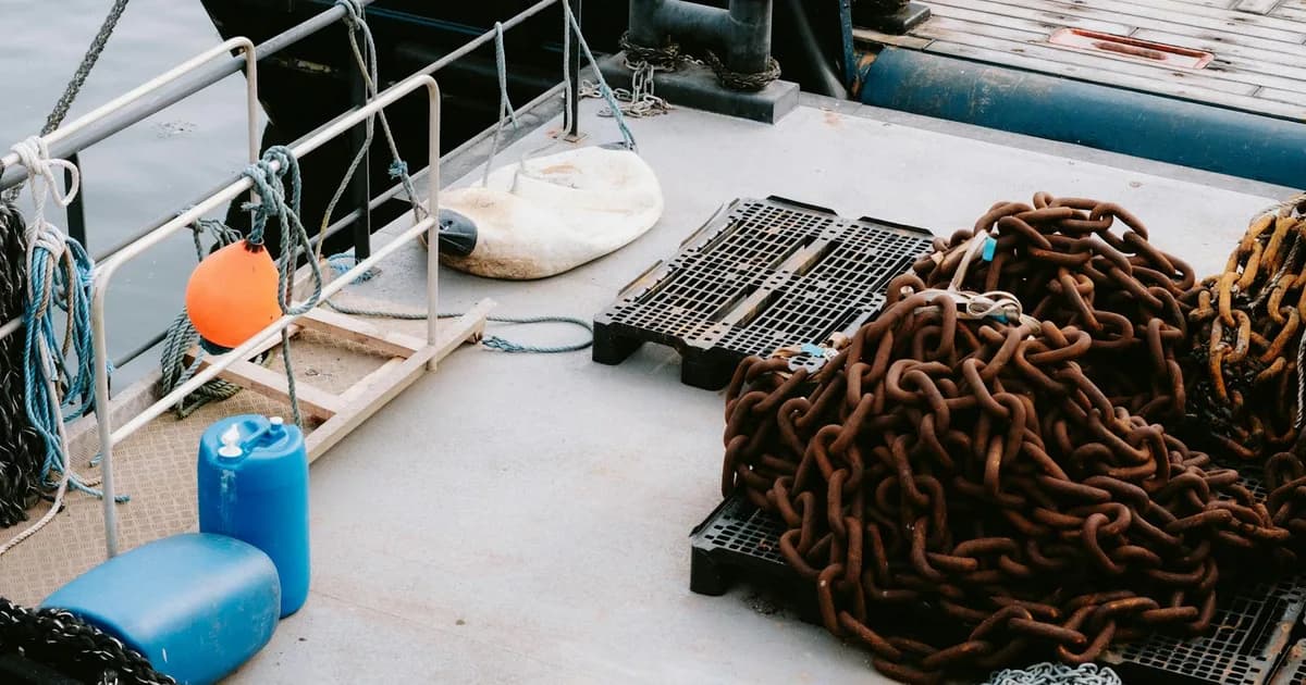 Demir Atma Teknikleri: Güvenli Koya Bağlama Rehberi