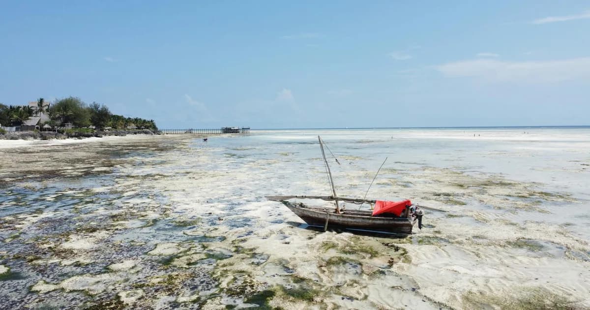 Karaya Oturma ve Kurtarma: Türkiye Kıyılarında Sığ Su Taktikleri